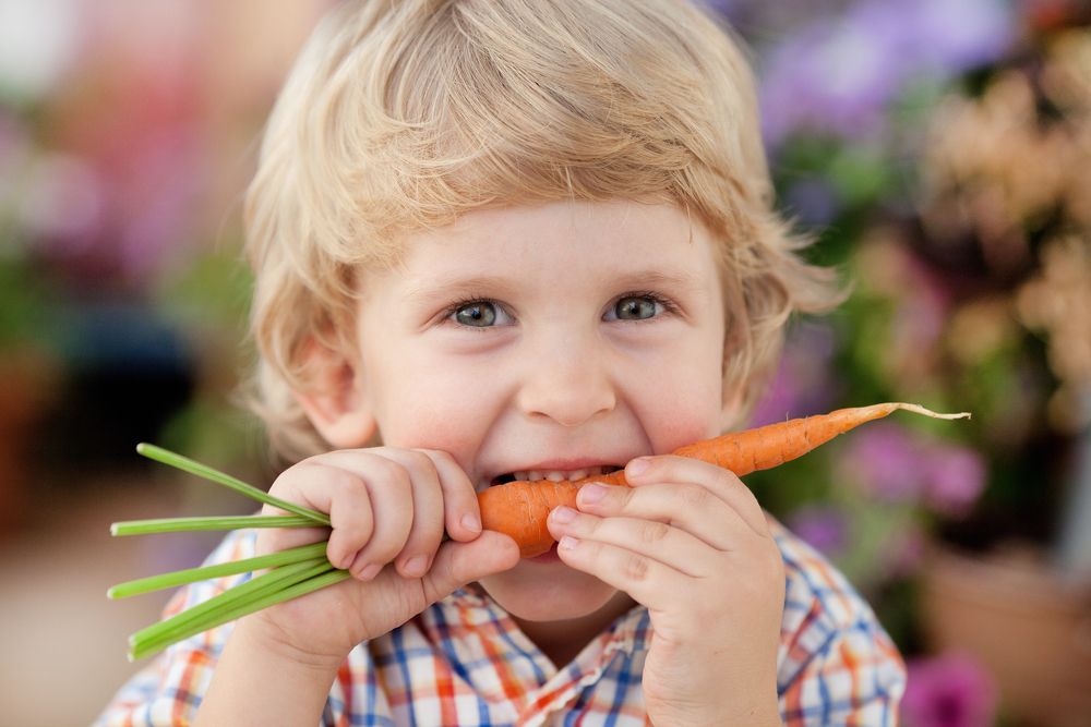 Jak naučit dítě kousat jídlo?