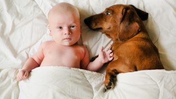 Jaké nebezpečí představují domácí zvířata pro děti