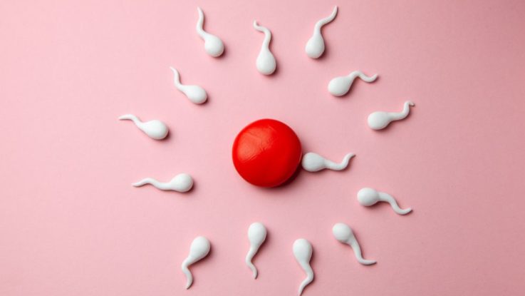 Postkoitální antikoncepce postinor