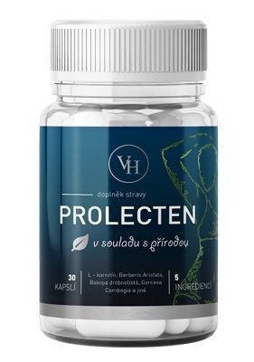 Prolecten