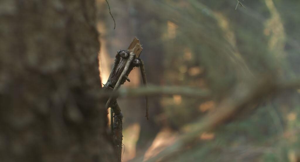 Mazel a tajemství lesa