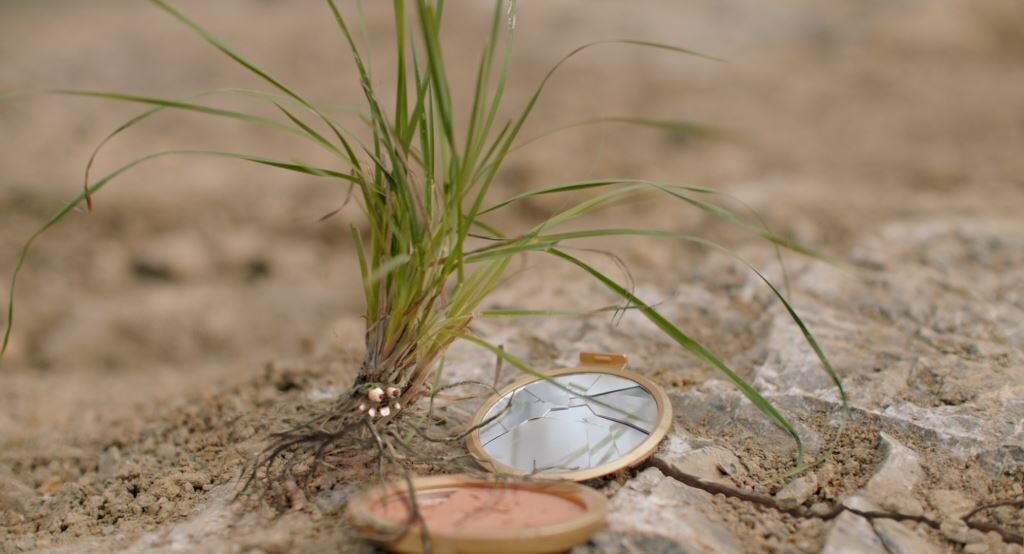 Mazel a tajemství lesa